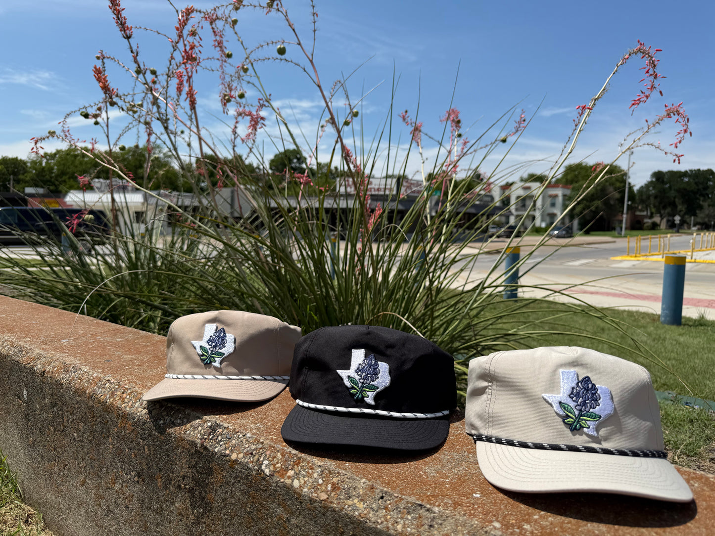 Texas Blue Bonnet - SnapBack